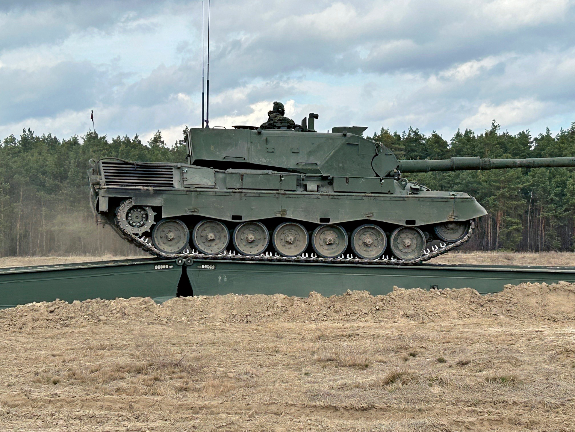 Die alte Raubkatze und der Mut der Ukrainer