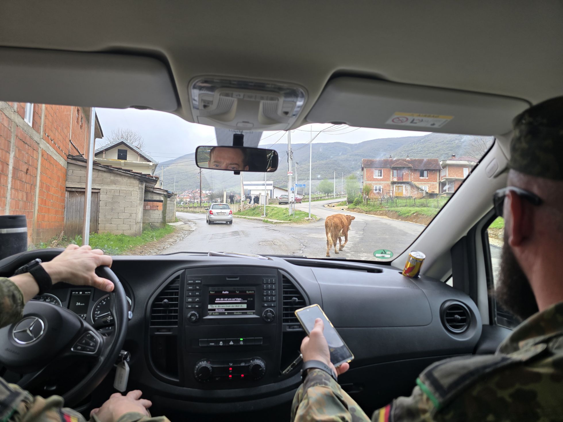 Die Fahrten im Kosovo erfordern angesichts der Verkehrsverhältnisse hohe Konzentration. Dass Tiere die Fahrbahn so selbstverständlich wie Fahrzeuge die Straße nutzen, ist keine Seltenheit. Foto: DBwV/Yann Bombeke