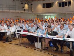 Plenum bei der Landesversammlung Süddeutschland 2017: Auch 2019 wartet auf die Delegierten ein umfangreiches Programm. Foto: DBwV/Henning