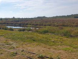 Mit der Moorbahn ging es durch das Naturschutzgebiet. Foto: LV Nord	