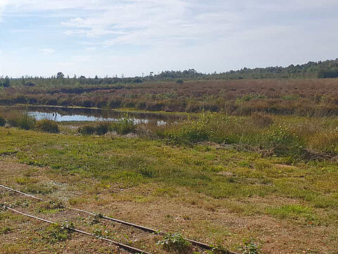 Mit der Moorbahn ging es durch das Naturschutzgebiet. Foto: LV Nord	