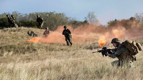 Deutsche und niederländische Soldaten bei einer gemeinamen Übung. Glaubt man den Plänen des BMVg, können unsere europäischen Nachbarn demnächst auch in der deutschen Uniform dienen. Foto: Bundeswehr/Christian Thiel