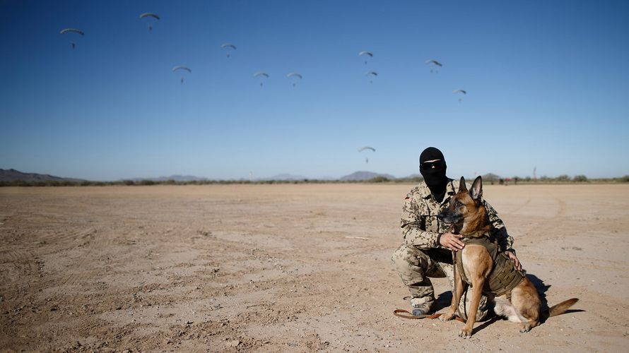 Hundeführer Hauptfeldwebel W. vom Kommando Spezialkräfte (KSK) nimmt mit Diensthund Diego an der Übung des taktischen freien Falls in Arizona/USA teil Foto: Bundeswehr/Jana Neumann