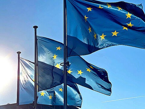 Europäisches Engagement in den Dachverbänden EUROMIL, CESI und EBD : Die Europa-Community im DBwV ist auf zahlreichen Ebenen aktiv. Foto: Europäisches Parlament