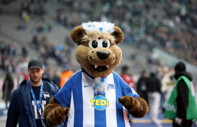 Hertha-Maskottchen Hertinho. Foto: DBwV/Yann bombeke