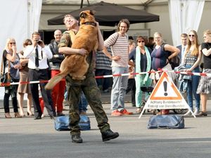 Vorführung der Diensthunde. Archiv: Bundeswehr/Letzin