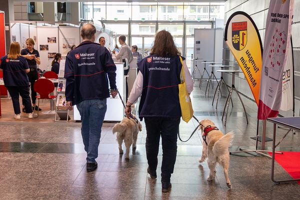 Insgesamt besuchten mehr als 13.000 Menschen den Seniorentag in Mannheim. Mehr als 180 Aussteller präsentierten dort ihre Angebote für ein schönes Leben im Alter. Foto: DBwV/Yann Bombeke