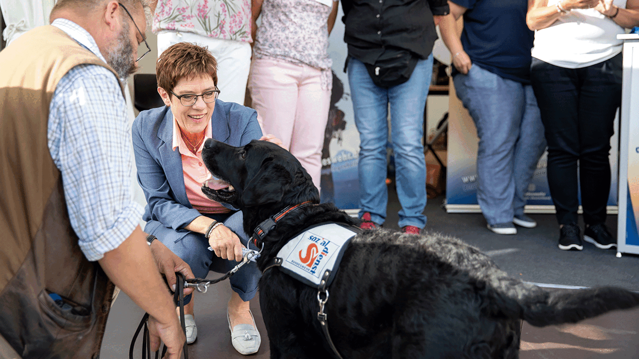 Ob "Teddy", Hund des Sozialdienstes der Bundeswehr, auch von der Dotierungsanhebung der Dienstposten im Sozialdienst profitiert, ist uns nicht bekannt. Dieses Zeichen der Wertschätzung ist lobenswert, aber es stellt sich die Frage, ob die Dienstposten statusgerecht besetzt sind. Foto: Bundeswehr/Christian Vierfuß