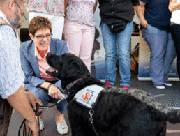 Ob "Teddy", Hund des Sozialdienstes der Bundeswehr, auch von der Dotierungsanhebung der Dienstposten im Sozialdienst profitiert, ist uns nicht bekannt. Dieses Zeichen der Wertschätzung ist lobenswert, aber es stellt sich die Frage, ob die Dienstposten statusgerecht besetzt sind. Foto: Bundeswehr/Christian Vierfuß