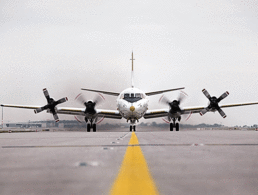 Eine P-3C Orion der Marineflieger: Auch bei diesem älteren Waffensystem ist die Einsatzbereitschaft als unbefriedigend zu bewerten. Foto: Bundeswehr/Markus Schulze 