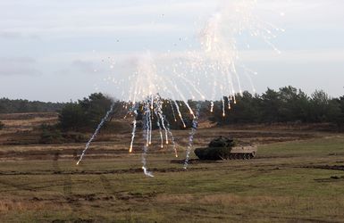 Der Leopard 2 feuert seine Munition ab, in diesem Fall Pyrotechnik. Foto: DBwV/Vieth