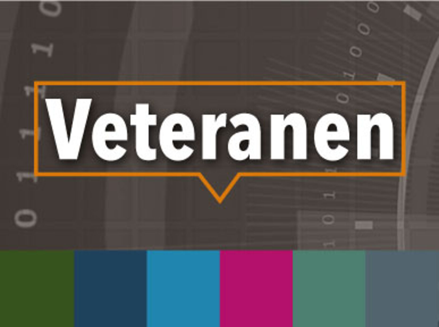 Zur Themenseite Veteranen