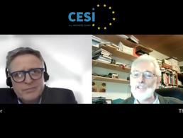 Im Video-Gespräch: CESI-Generalsekretär Klaus Heeger und Oberstleutnant a.D. Thomas Sohst, der für den DBwV auf europäischer Ebene aktiv ist. Screenshot: DBwV