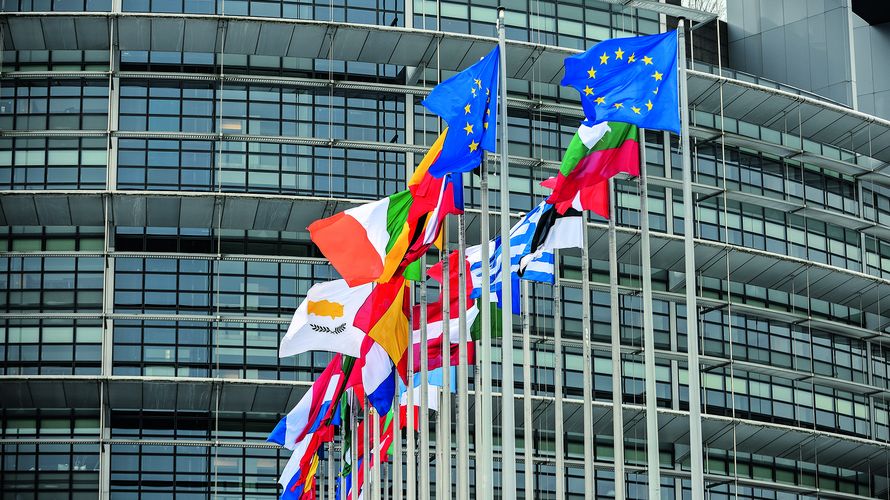  Flaggen der europäischen Mitgliedstaaten vor dem Sitz des Europaparlaments in Straßburg. Foto: picture alliance/Daniel Kubirski