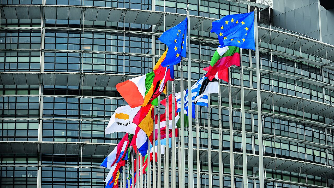  Flaggen der europäischen Mitgliedstaaten vor dem Sitz des Europaparlaments in Straßburg. Foto: picture alliance/Daniel Kubirski