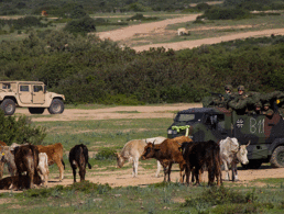 Bundeswehr-Soldaten bei einer Nato-Übung im Oktober 2015 in Sardinien. Deutschland hat dem Bündnis jetzt den größten Anstieg der Verteidigungsausgaben seit Jahrzehnten gemeldet. Foto: Bundeswehr/Jane Schmidt