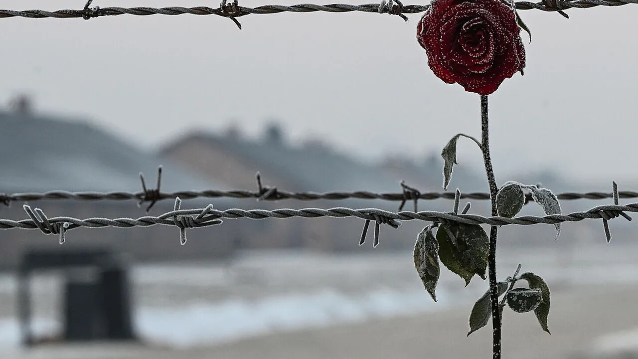 Allein im Vernichtungslager Auschwitz-Birkenau wurden 1,1 Millionen Juden ermordet. Foto: picture alliance / NurPhoto / Artur Widak