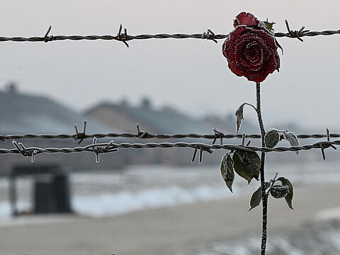 Allein im Vernichtungslager Auschwitz-Birkenau wurden 1,1 Millionen Juden ermordet. Foto: picture alliance / NurPhoto / Artur Widak