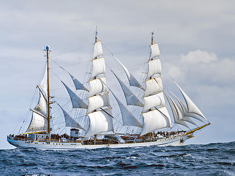 Erfolg für die „Gorch Fock" und ihre Besatzung: Bei der „Five Sister Trophy" von New York nach Boston kam das Segelschulschiff der Marine als Erstes ins Ziel. Foto: Bundeswehr/Marcel Kröncke