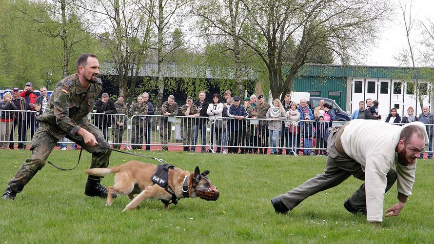 Vollen Einsatz zeigten auch die Diensthunde der Feldjäger (Foto: AusbZ/FMZ)
