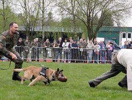 Vollen Einsatz zeigten auch die Diensthunde der Feldjäger (Foto: AusbZ/FMZ)
