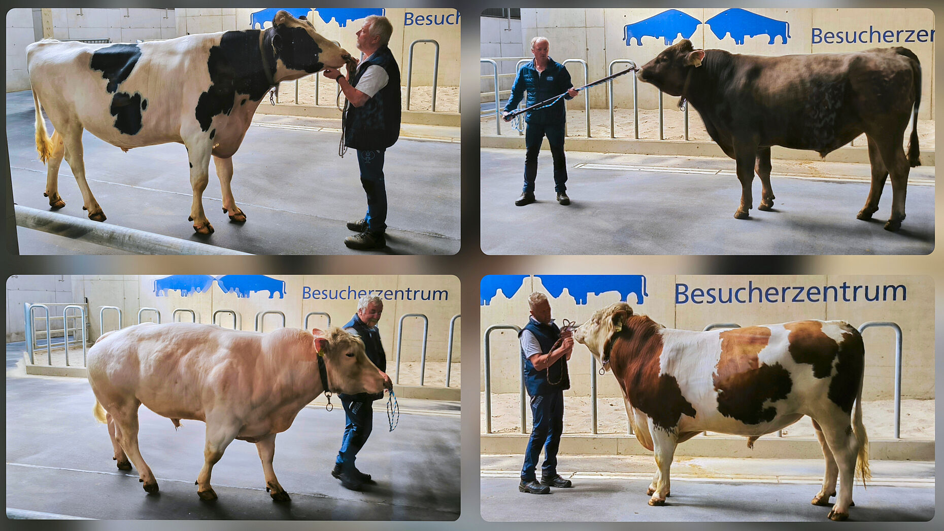 Foto: Detlef Döring