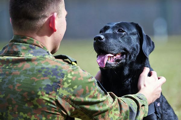 An PTBS erkrankter Soldat mit einem Hund: In der tiergestützten Therapie wird weiterhin intensiv geforscht. Foto: picture alliance/Frey