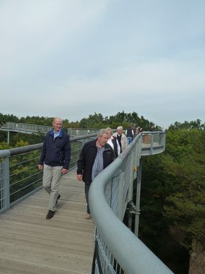 Rundgang in luftiger Höhe: Der "Baumkronenpfad" wird seinem Namen gerecht Foto: KERH/Eberhard Seifert