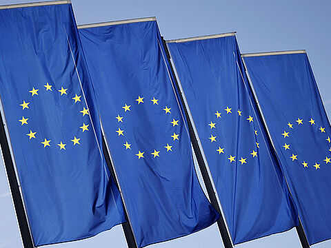 EU-Flaggen in Frankfurt. Symbolbild: picture alliance / Panama Pictures | Christoph Hardt