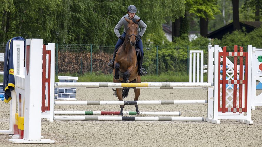 Ein Springreiter an der Sportschule der Bundeswehr in Warendorf. Der Reitsport hat in der „Stadt des Pferdes“ eine lange Tradition, doch auch die Athletinnen und Athleten vieler anderer Sportarten finden an der Sportschule beste Voraussetzungen. Foto: DBwV/Yann Bombeke