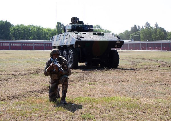 Soldaten aus Frankreich nehmen mit einem Schützenpanzer an der dynamischen Vorführung teil. Foto: DBwV/Vieth