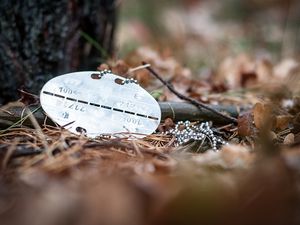 Gedenk-Ort: Nahe Potsdam wird der Wald der Erinnerung entstehen. Foto: Bundeswehr