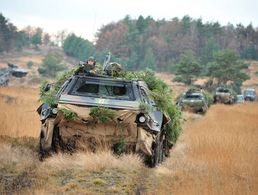 Fahrzeuge vom Typ Transportpanzer Fuchs des Jägerbataillons 291 auf dem Truppenübungsplatz Bergen Foto: Bundeswehr