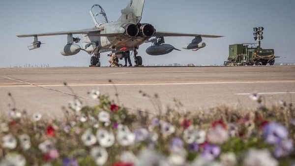 Symbolträchtig: eine Blumenwiese auf einer Bundeswehr-Air Base. Klimaneutralität ist auch für die deutschen Streitkräfte eine Toppriorität der Zukunft. Foto: Bundeswehr/Falk Bärwald