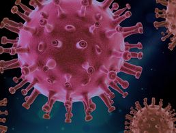 Warnzeichen gab es frühzeitig, doch hat kaum jemand die dramatische Ausbreitung des Coronavirus kommen sehen. Foto: pixabay