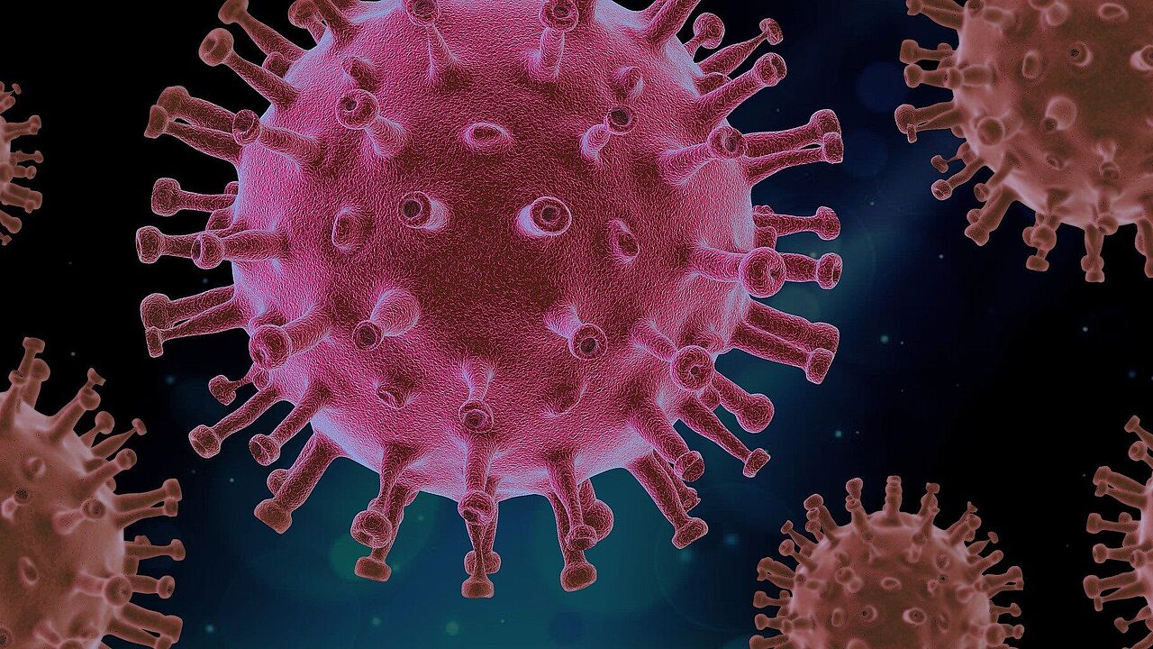 Warnzeichen gab es frühzeitig, doch hat kaum jemand die dramatische Ausbreitung des Coronavirus kommen sehen. Foto: pixabay