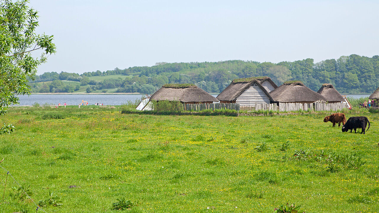 Das Wikinger Museum Haithabu in Schleswig-Holstein: Die dort ansässige ERH-Kameradschaft Wikingerland-Schleswig traf sich kürzlich zu einer Veranstaltung mit einem Vortrag von Oberstabsfeldwebel a. D. Uwe Schenkel. Foto: picture alliance/Visually/Kuttig-Travel