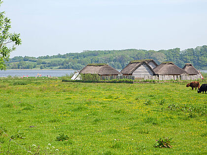 Das Wikinger Museum Haithabu in Schleswig-Holstein: Die dort ansässige ERH-Kameradschaft Wikingerland-Schleswig traf sich kürzlich zu einer Veranstaltung mit einem Vortrag von Oberstabsfeldwebel a. D. Uwe Schenkel. Foto: picture alliance/Visually/Kuttig-Travel
