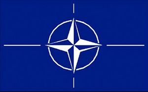 Deutschland soll seiner Größe und Wirtschaftskraft entsprechend mehr Verantwortung innerhalb der Nato übernehmen und als Grundlage dafür mehr in die Streitkräfte investieren.