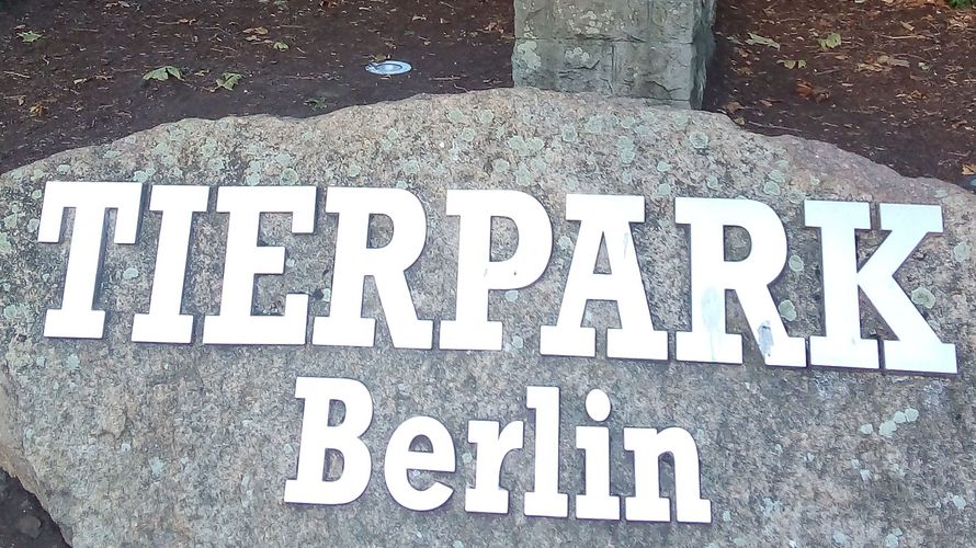 Auch in diesem Jahr waren die KERH’s aus dem Berliner Osten wieder im Tierpark zum traditionellen Spaziergang unterwegs. Foto: Intemann