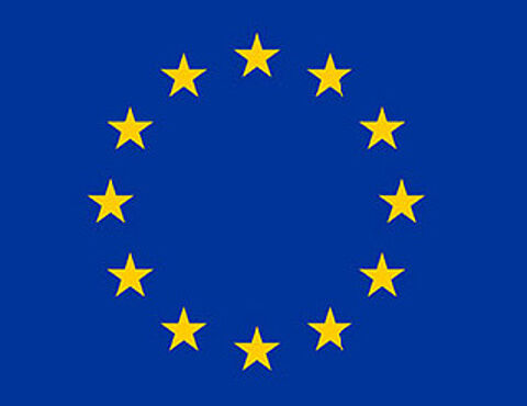 Engagement des DBwV in Europa