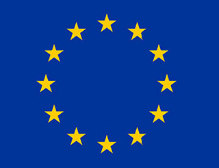 Engagement des DBwV in Europa